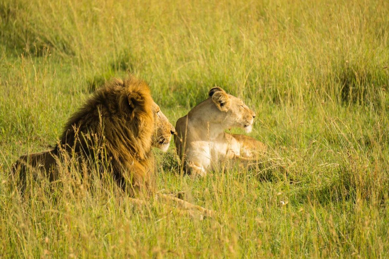 The Gir Harmony Hotel Sasan Gir Ngoại thất bức ảnh